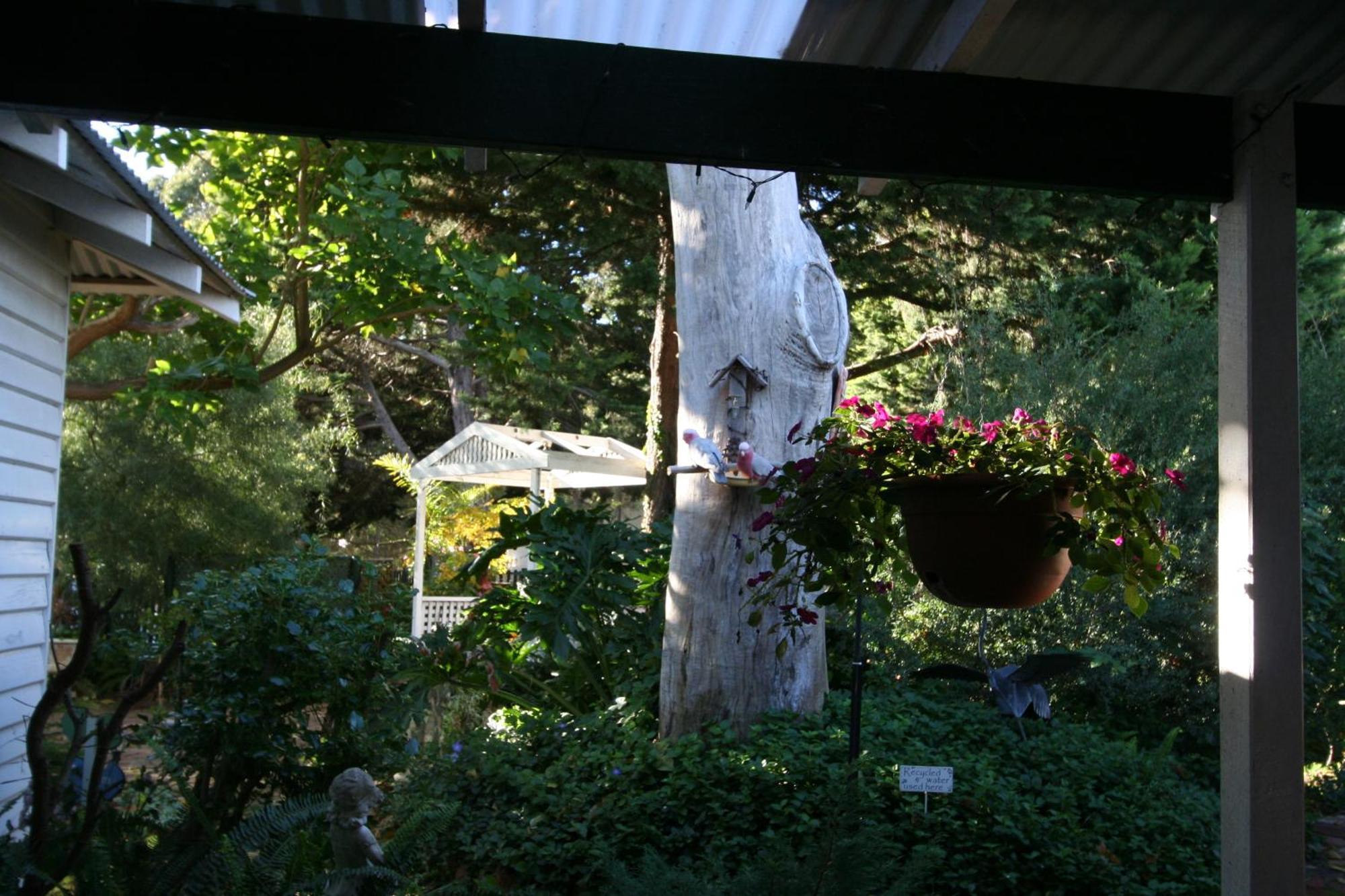 Rosebridge House Bed & Breakfast Adult Retreat Gooseberry Hill Dış mekan fotoğraf